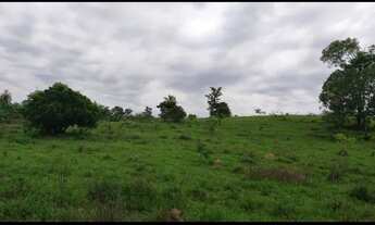 Imagem 3: Chácara em Cromínia