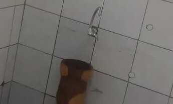 Imagem 3: Casa no hauer direto proprietário 2 quartos