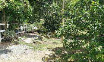 Imagem 6: Sítio em Itapema!