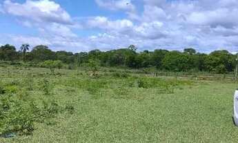 Imagem 3: Chácara na região do cinquentinha 15 km de terra
