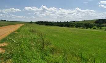 Imagem 7: Sítio com 25 alqueires, região de Tatuí-SP