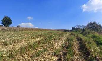 Imagem 3: Lotes de 600m² Terreno / lote com venda por R$75.000