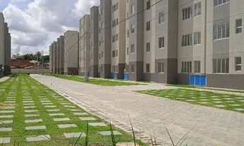 Imagem: Empreendimento Reserva Arvoredo