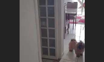 Imagem 5: Excelente Apartamento -Venda Jardim Luiza / Jacareí - SP