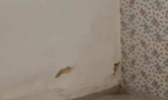 Imagem 7: Casa bairro Nordeste