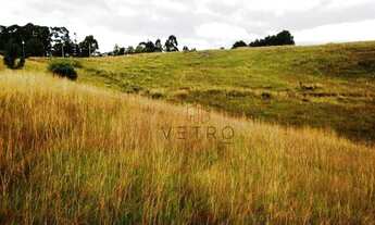 Imagem 4: Terreno na Barragem do Salto, em São Francisco de Paula!