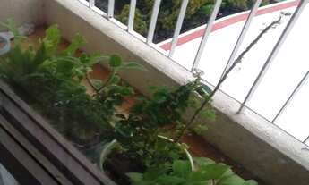 Imagem 6: Apartamento a Venda 2 Quartos Quintino, Venda e Avaliação Aqui