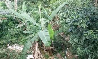 Imagem 5: Casa para Venda - Araribá, Ubatuba - 115m², 2 vagas