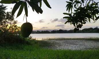 Imagem 6: CHÁCARA PARA QUEM QUER VIVER BEM!