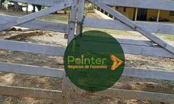 Imagem 2: Sítio à venda, 145200 m² por R$ 710.000,00 - Zona Rural - Luziânia/GO