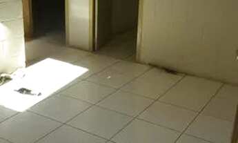 Imagem 5: Apartamento para Venda - 39.86m², 2 dormitórios, 1 vaga - Sarandí, Porto Alegre