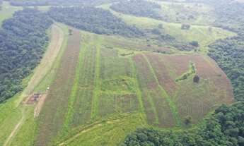 Imagem 4: Itapetininga Região Fazenda 65 Alqueires