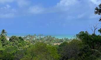 Imagem 2: Loteamento com vista mar de Paripueira