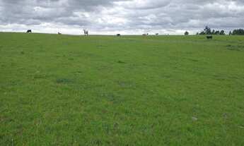 Imagem 7: Sítio com 44 hectares com excelente localização