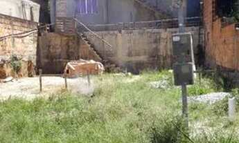 Imagem 3: Casa Dois Andares Independente