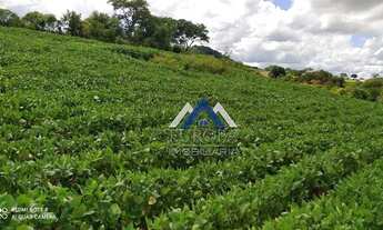 Imagem 2: Sítio à venda, 798600 m² por R$ 6.100.000,00 - Rural - Cornélio Procópio/PR