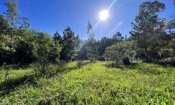 Imagem: Sítio em Taquara próximo do asfalto