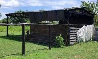 Imagem 2: Chácara na região do cinquentinha 15 km de terra