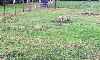 Imagem 5: Terreno plano de 420 m2 no Vale das Flores, Visconde de Mauá - RJ