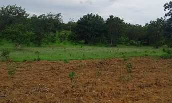 Imagem 5: Vendo esse terreno