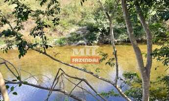 Imagem 6: Fazenda na Nova Fronteira Agrícola 330 alqueieres (1.597 hectares) Colinas Do Sul - Go