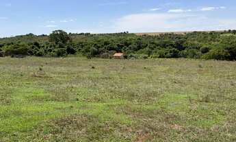 Imagem 6: Fazenda com cana próximo Uberlândia