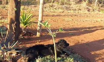 Imagem 2: Chácara condomínio Estância Bela Vista
