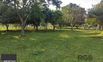 Imagem 2: Sítio em Estância Grande