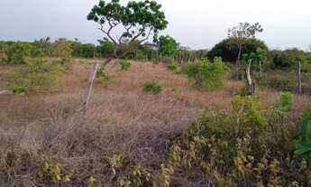 Imagem 4: Terreno em Barreirinhas no São Domingos