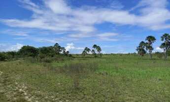 Imagem 3: Vende uma Excelente área rural