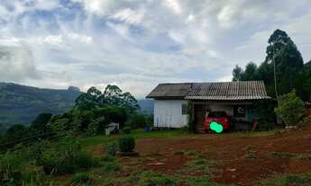 Imagem 4: Sítio 1.7 hectare com casa, próximo de Gramado