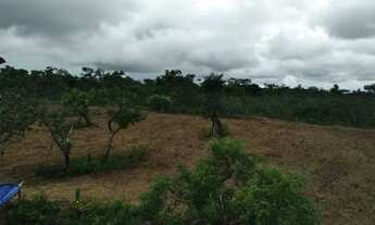 Imagem 2: Terreno para chácara