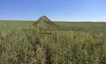 Imagem: Sitio com 3,5 alqueires em Tatuí-SP