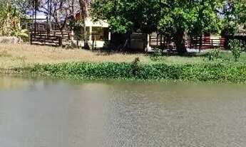 Imagem 2: Chácara em Mairipotaba