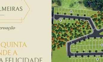 Imagem 6: QUINTA DAS PALMEIRAS