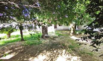 Imagem 5: Casa linear, de 4 qts, com terreno plano de 720m² no Parque Freixal