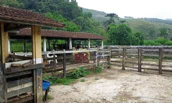 Imagem 2: Fazenda com 3 dormitórios à venda, 3968000 m² por R$ 11.000.000,00 - Área Rural de São Fra