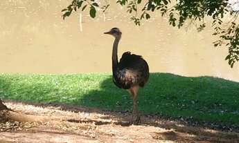 Imagem 5: Lote Aldeia do Vale Lote à Venda, 1250.00 por R$ 1650000.00 no setor Sítio de Recreio Mans