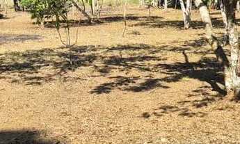 Imagem: Terreno no Açutuba