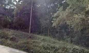 Imagem 5: Terreno com 280.000 m², à venda por R$ 9.100.000 - Centro, Campina Grande do Sul (PR