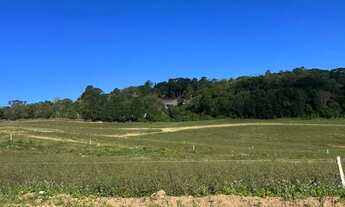 Imagem 7: Terreno de 600m² em bairro residencial R$50.000 à vista, entre em contato