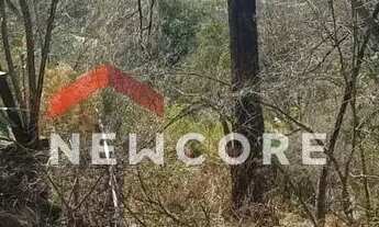 Imagem 4: Lote em Alameda dos Paulistas - Jardim Encantado - Vespasiano/MG