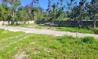 Imagem: Lote / Terreno em Ratones - Florianópolis
