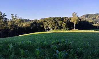 Imagem 5: Área de terra de 02 hás agricultável