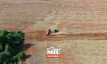 Imagem 3: FAZENDA DE LAVOURA COM PIVÔ, BEM LOCALIZADA E COM EXCELENTE PREÇO