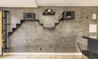 Imagem 7: Apartamento para venda em Jaraguá com 2 quartos , 43m²