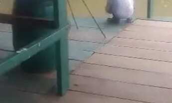 Imagem 5: Casa no rio Araguia com o Rio do do peixe na região viúva nova crixas