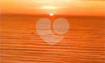 Imagem 3: Apartamento com 2 quartos à venda em Pitangueiras - SP