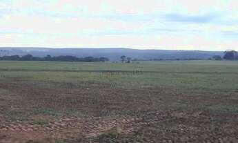 Imagem 2: Àrea de 768 hectares na região da cidade de Itiquira no estado do Mato Grosso MT