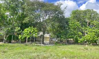 Imagem 3: Vende-se ou troca por casa em Boa Vista este sítio